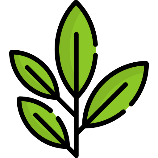 Green leaf icon with a black outline without background