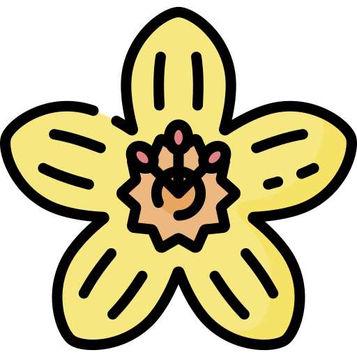 Yellow flower with black outline without background